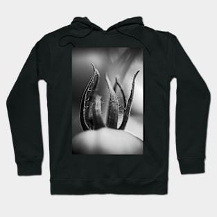 displacement Hoodie